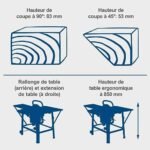 Scheppach Scie circulaire sur table TS310 | 230V | 2200W | Lame Ø315mm | Hauteur de coupe 83mm | Avec élargissement de table, 2ème lame, rail de guidage & chariot coulissant | inclinable jusqu'à 45° – Image 5