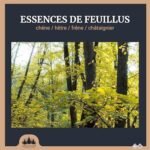 3 stères de Bois de Chauffage coupé/Fendu en 30 cm Box de 2,1m3 – Image 4