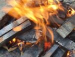 110kg oak firewood - 10 x 11kg bags oak whisky barrel wood -whisky barrels-oak wood-barbecues-fire pits – Image 3